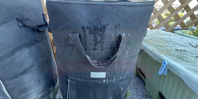 不織布のコンポストから水が染み出てきている様子