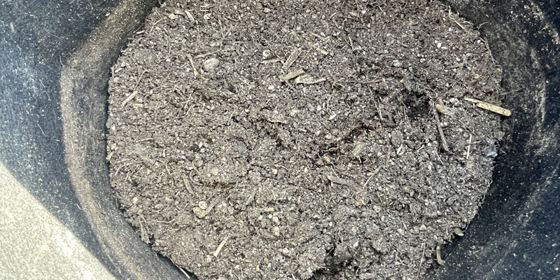 推肥作りから１か月後の様子