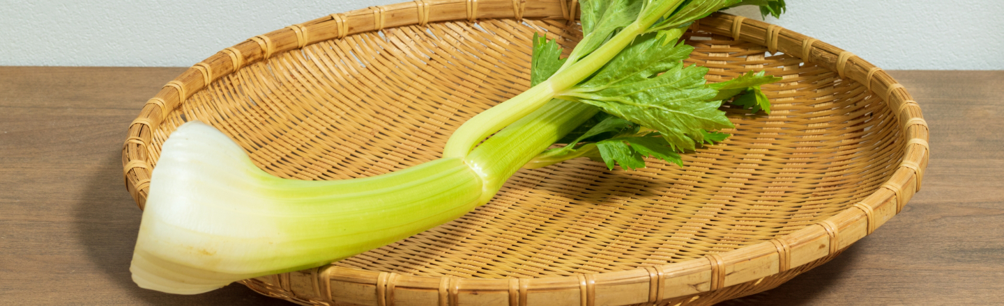 プランターでできるセロリの育て方|種まきから収穫までの完全ガイド&栽培日記