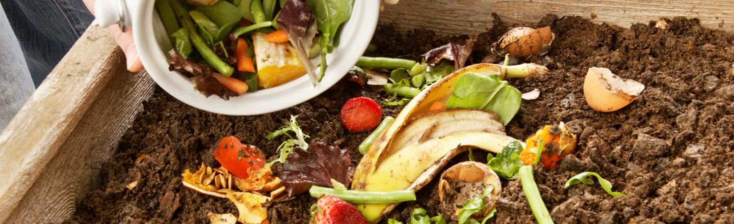 コンポストの使い方と注意点