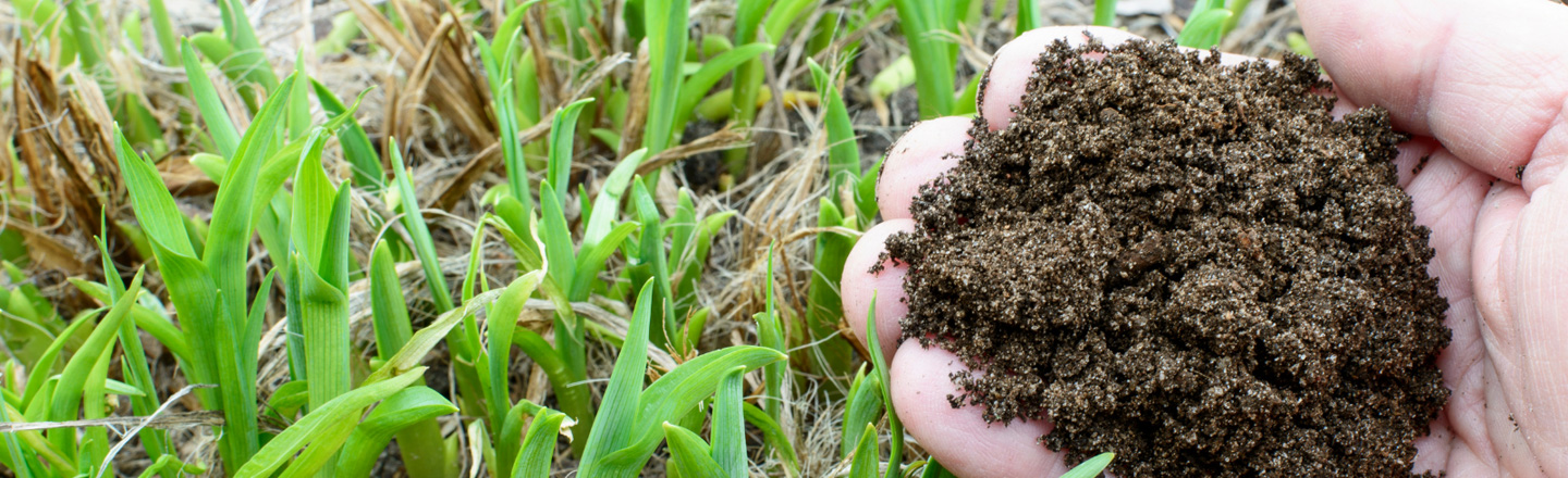 実際に使っているコンポストレビュー