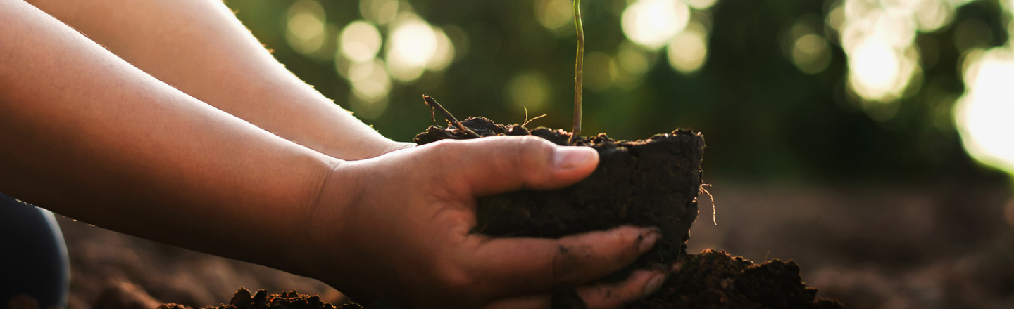 コンポストの種類と選び方