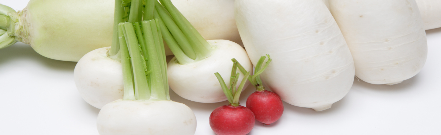 大根(ダイコン)の育て方|プランターでできる3種類!はつか大根から春まきまで完全ガイド