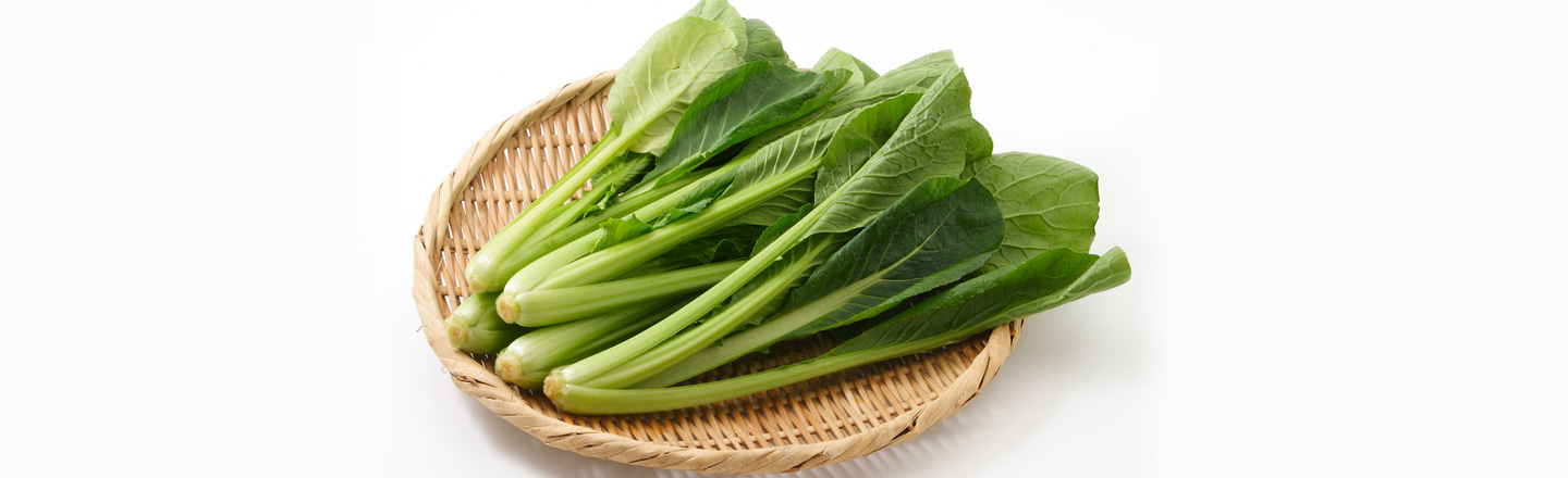 小松菜の育て方まとめ|プランターで初心者でも簡単に栽培する方法