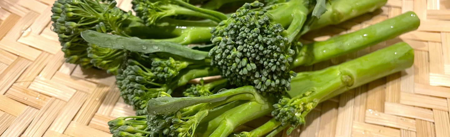 スティックセニョール(茎ブロッコリー)を種から育てて収穫するまで|家庭菜園の実体験記録