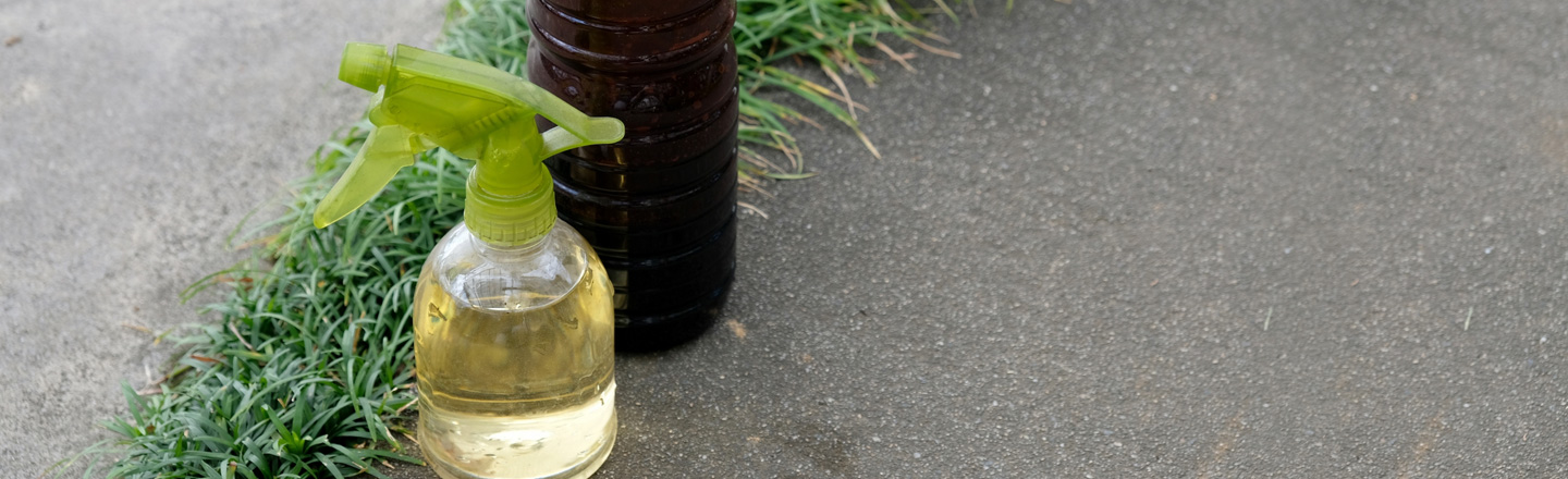 木酢液の使い方｜培養土の消毒と野菜への葉面散布を写真で解説