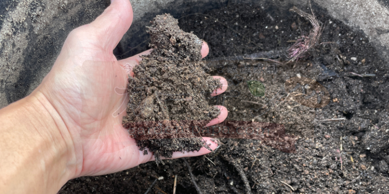 推肥作りを開始して１週間後の分解途中の様子