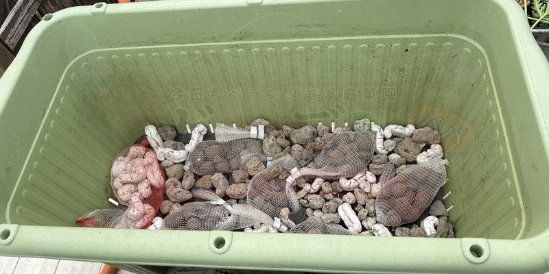 プランターの底に鉢底石を敷き詰めて排水性を確保