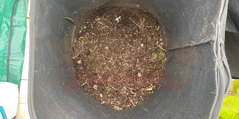 コンポストの底に土を入れた状態