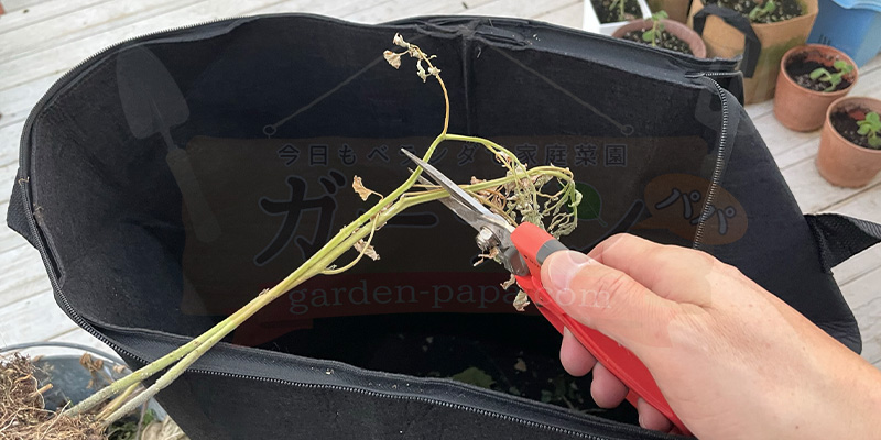 大きなものをハサミでカットしている様子