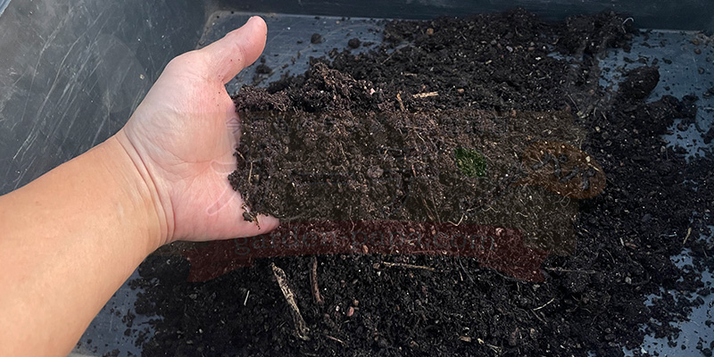 完成した推肥を手に取って確認している様子