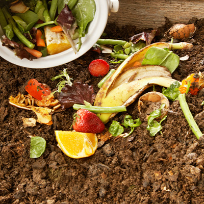 コンポストの種類を家庭菜園初心者向けに解説。設置場所別の特徴や選び方、プランター栽培に向いているコンポストをわかりやすく紹介します。 土中式コンポスト