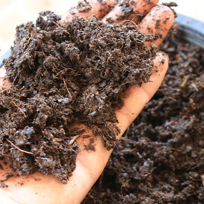 コンポストの使い方と注意点|家庭菜園初心者向け 水分調整