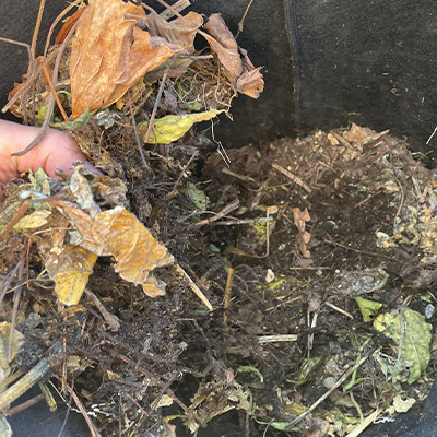 コンポストの使い方と注意点|家庭菜園初心者向け 経過観測