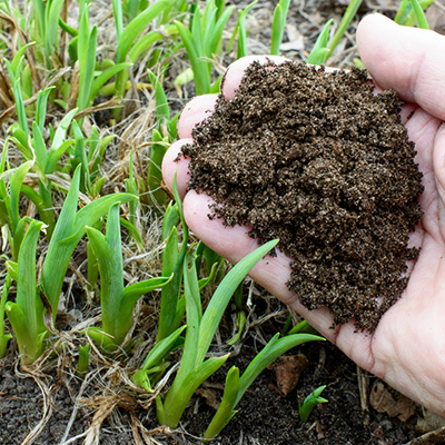 コンポストの使い方と注意点|家庭菜園初心者向け 完成した推肥の利用完成した推肥の利用