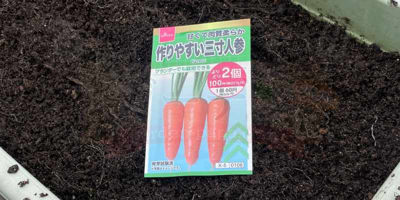 ダイソーで買ってきた三寸ニンジンの種が入ったパッケージ