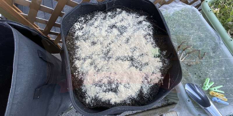 コンポストがいっぱいになった様子