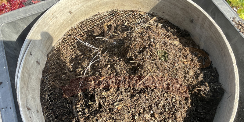 コンポストから土を取り出しふるいの上に乗せた様子