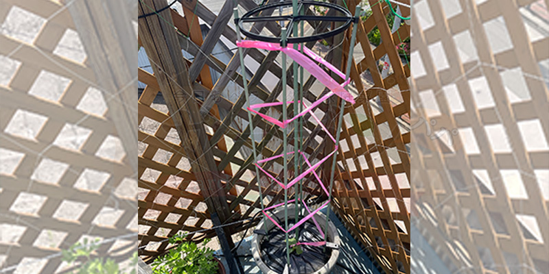 きゅうりの育て方|プランター栽培で失敗しないコツと支柱・ネットの立て方 ナイロン紐を使った、きゅうりの誘引方法の完成形。