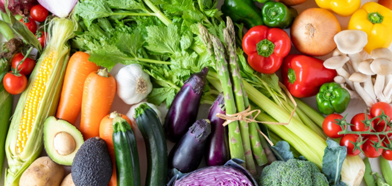 プランターで季節の野菜を育てる初心者向けガーデニングブログ 月別のプランターで育てるおすすめ野菜ガイド