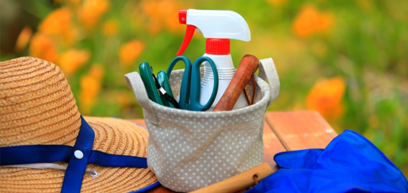 プランターで季節の野菜を育てる初心者向けガーデニングブログ ガーデニング初心者の方へ