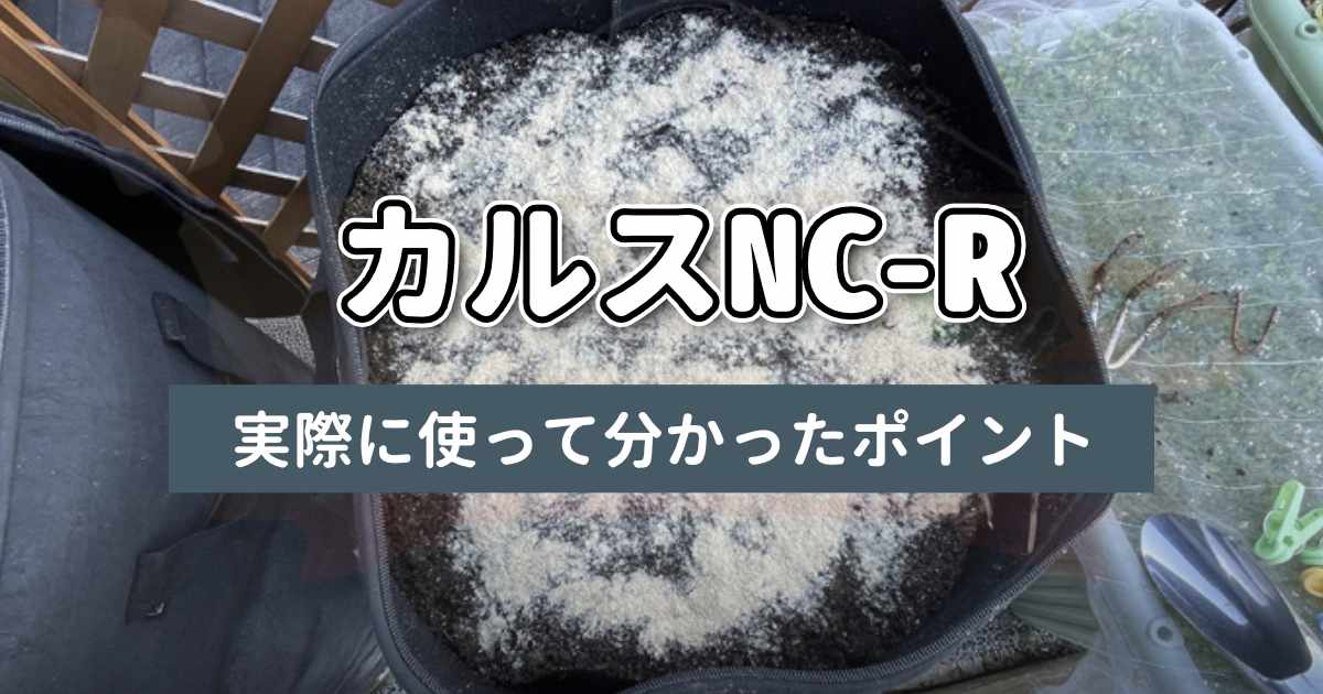 カルスNC-R記事のサムネイル