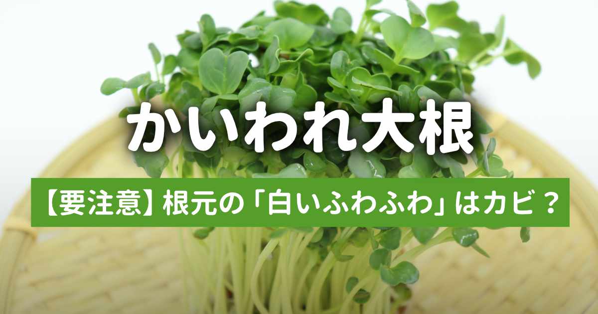 かいわれ大根栽培日記記事のサムネイル