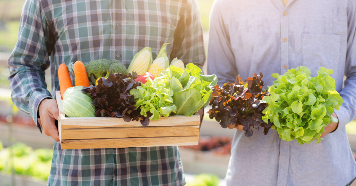 プライバシーポリシーのアイキャッチ画像