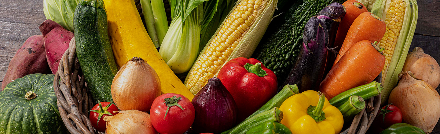 プランターで季節の野菜を育てる初心者向けガーデニングブログのアイキャッチ画像