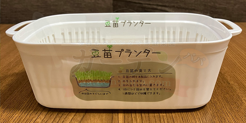 アイスプラントの育て方。土を使わない水耕栽培とプランターでの育て方 キャン★ドゥの豆苗プランターの写真