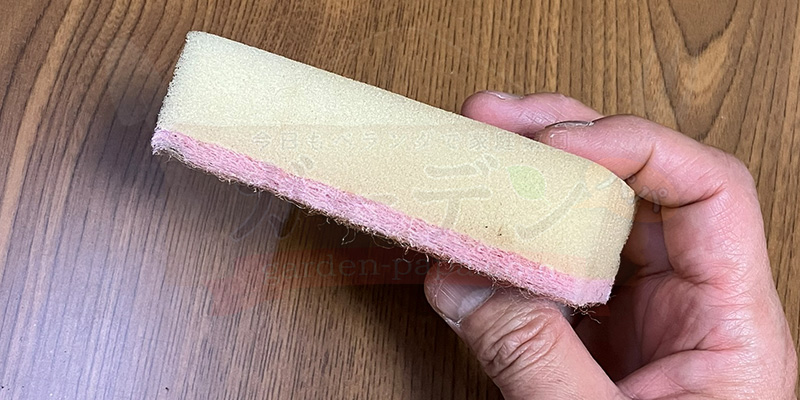 アイスプラントの育て方。土を使わない水耕栽培とプランターでの育て方 アイスプラントの水耕栽培に使う食器洗い用のスポンジの写真