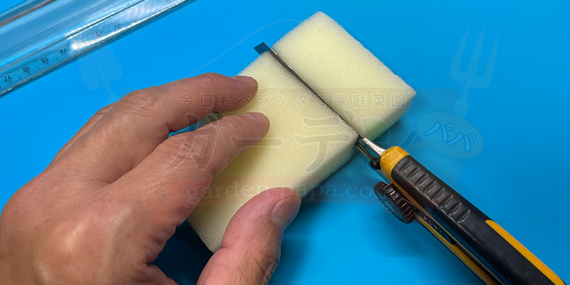 アイスプラントの育て方。土を使わない水耕栽培とプランターでの育て方 カッターでスポンジを切っている様子