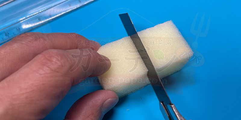 アイスプラントの育て方。土を使わない水耕栽培とプランターでの育て方 4等分したスポンジをさらに半分にして8つの種まき部分を作っている様子