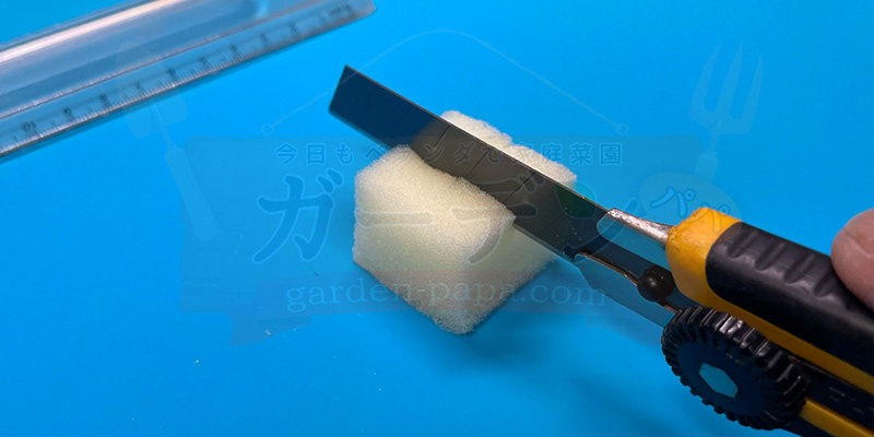 アイスプラントの育て方。土を使わない水耕栽培とプランターでの育て方 アイスプラントの水耕栽培用スポンジに十字の切目を入れている様子