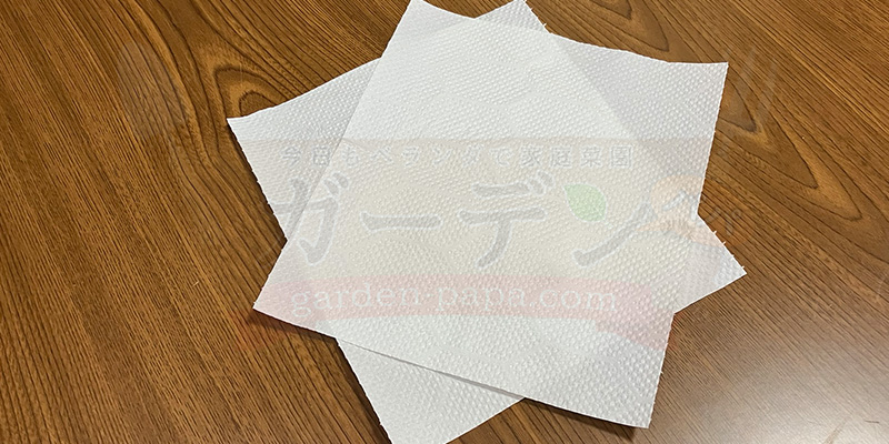 かいわれ大根の育て方|根元の白いふわふわ(カビ)の見分け方と2回目の収穫 かいわれ大根の水耕栽培で土台に使うキッチンペーパーの写真