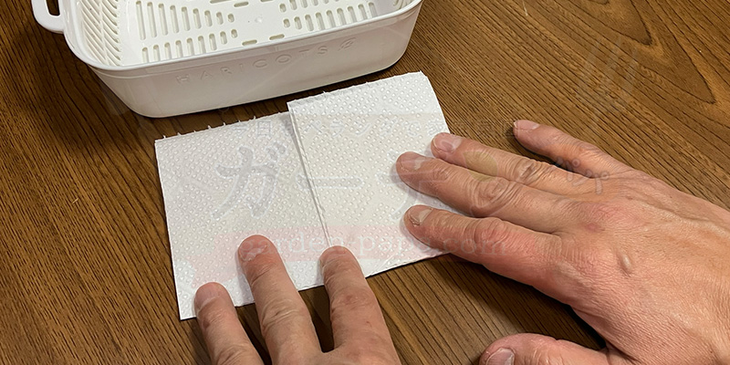 かいわれ大根の育て方|根元の白いふわふわ(カビ)の見分け方と2回目の収穫 キッチンペーパーを水耕栽培容器に収まるサイズに折っている様子