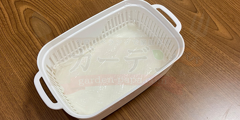 かいわれ大根の育て方|根元の白いふわふわ(カビ)の見分け方と2回目の収穫 キッチンペーパーを水に浸した様子