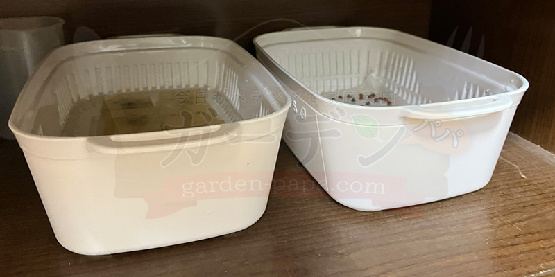 かいわれ大根の育て方|根元の白いふわふわ(カビ)の見分け方と2回目の収穫 かいわれ大根の種をまいた容器を暗い場所に保管している様子