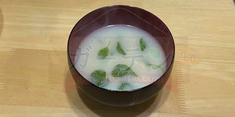 小松菜の間引き菜を使ったお味噌汁