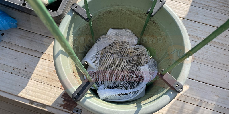 【プランター栽培】スナップエンドウを11月から育ててみた!種まき〜大豊作、そしてGWのうどんこ病まで ランドリーネットに鉢底石を入れてプランターの底に敷き詰めた状態