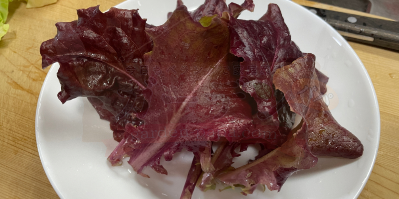 【サニーレタス】古い種は発芽しない!? 春のプランター栽培は苗の定植からリベンジスタート 真っ赤なサニーレタスを何枚か収穫。サラダにしていただきます。