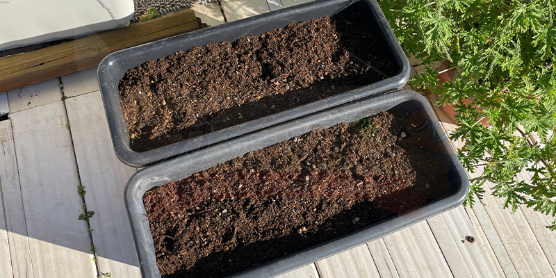 プランター８分目位まで培養土を入れている様子
