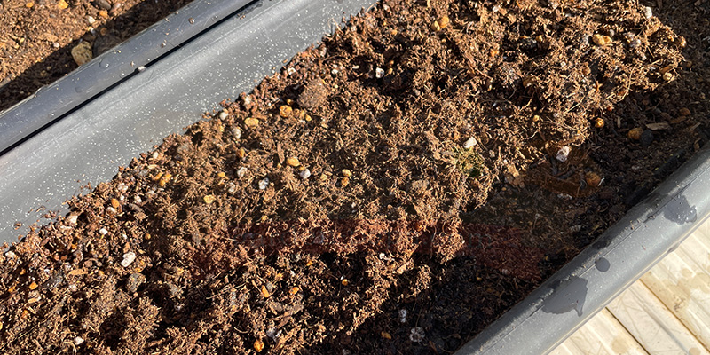 土を抑え終えた後の状態