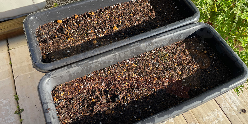 水を与え終わった状態