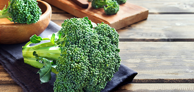 4月に植えるおすすめ野菜9選【プランター家庭菜園・初心者向け】 ブロッコリーの写真