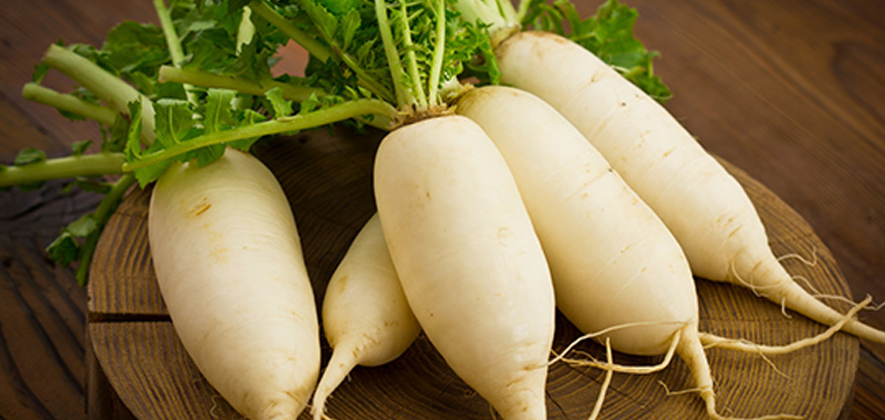 4月に植えるおすすめ野菜9選【プランター家庭菜園・初心者向け】 春大根の写真