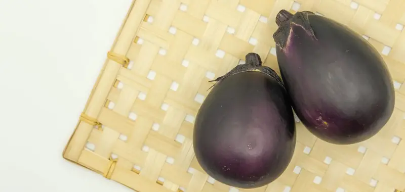 4月に植えるおすすめ野菜9選【プランター家庭菜園・初心者向け】 ナスの写真