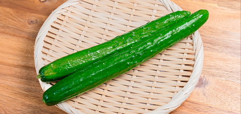 6月に植えるおすすめ野菜|梅雨時期でも育てやすい家庭菜園向け5選 きゅうりの写真