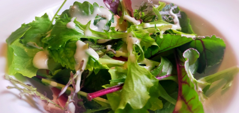 12月にプランターで植えるおすすめ野菜5選 ベビーリーフの写真