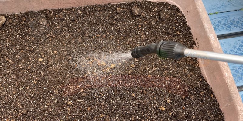 木酢液の使い方|培養土の消毒と野菜への葉面散布を写真で解説 土の表面に薄めた木酢液を噴霧器で噴霧している様子